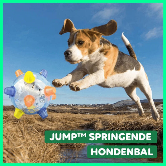 Novi™ | Jump Springende Hondenbal (1+1 GRATIS)