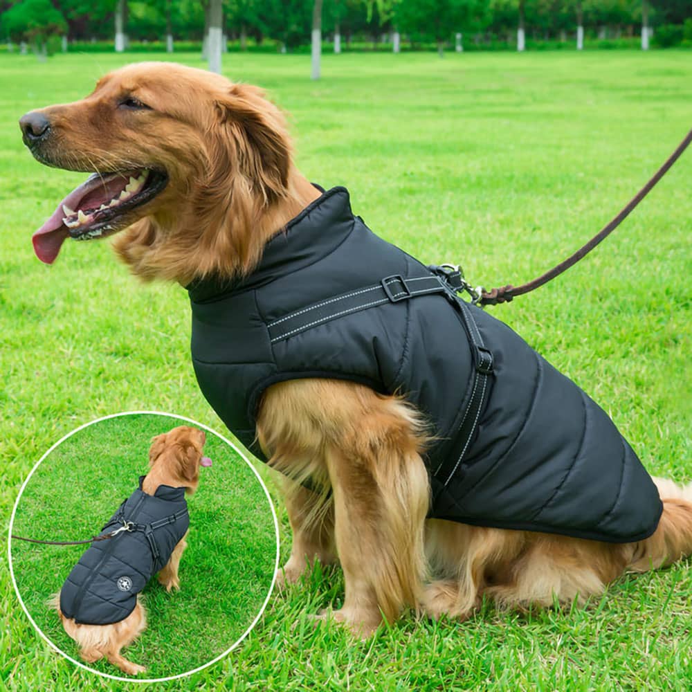 Novi™ | CozyBuddy Waterdichte Winterjas voor Honden