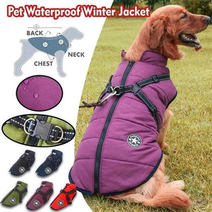 Novi™ | CozyBuddy Waterdichte Winterjas voor Honden