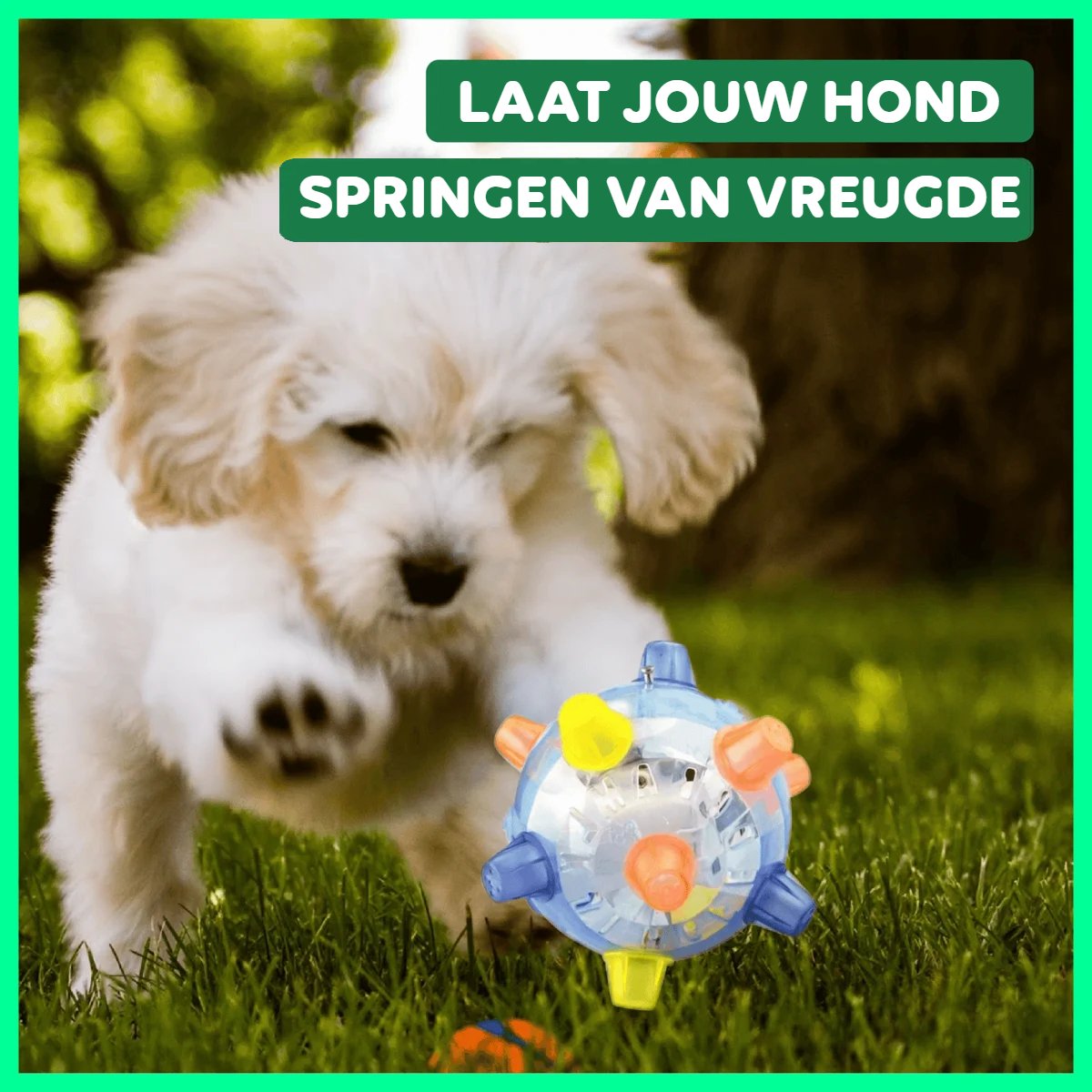 Novi™ | Jump Springende Hondenbal (1+1 GRATIS)